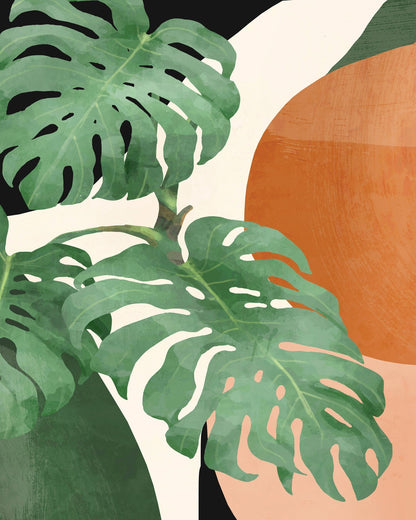 Tropical Leaf Shapes