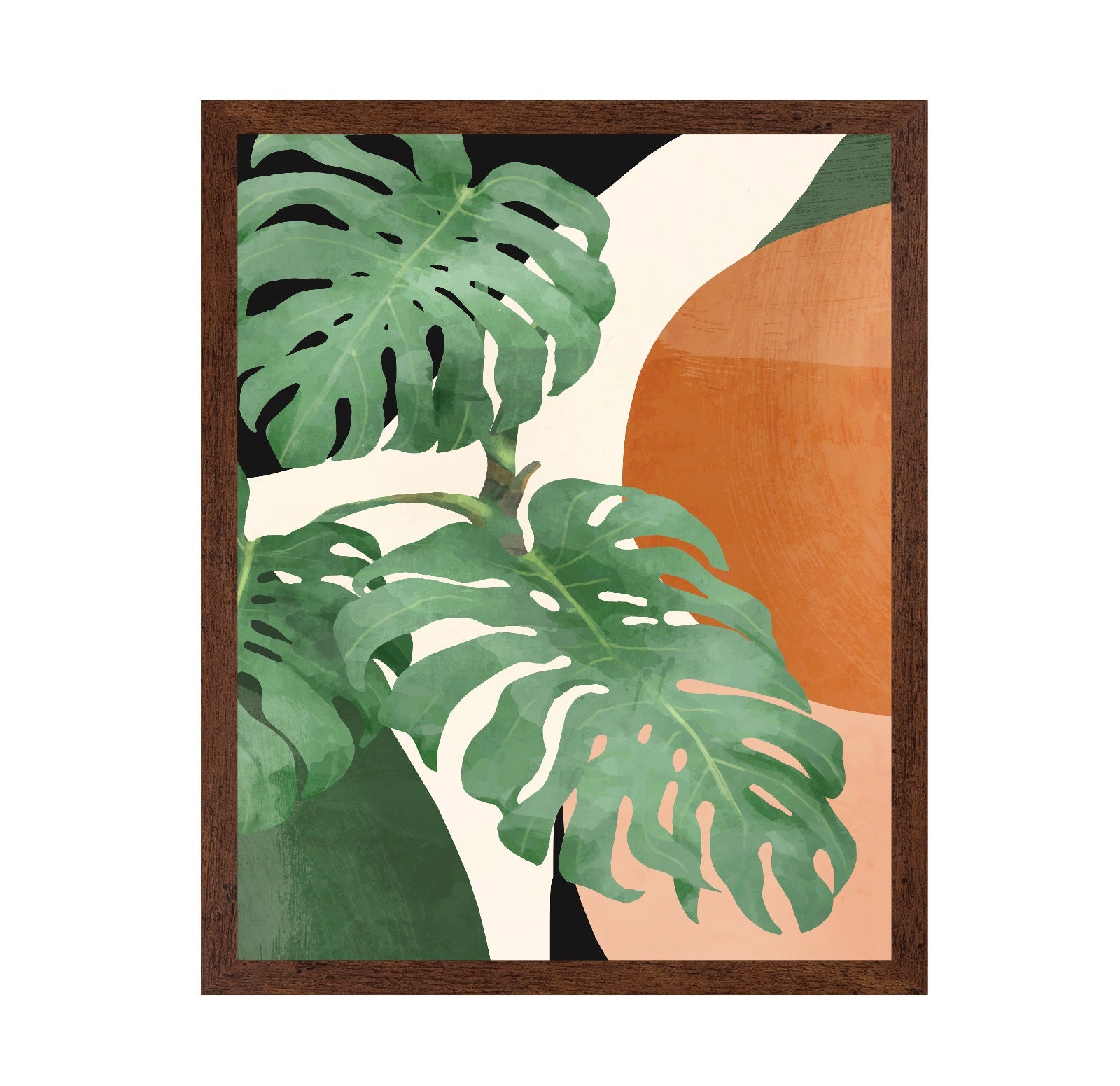 Tropical Leaf Shapes