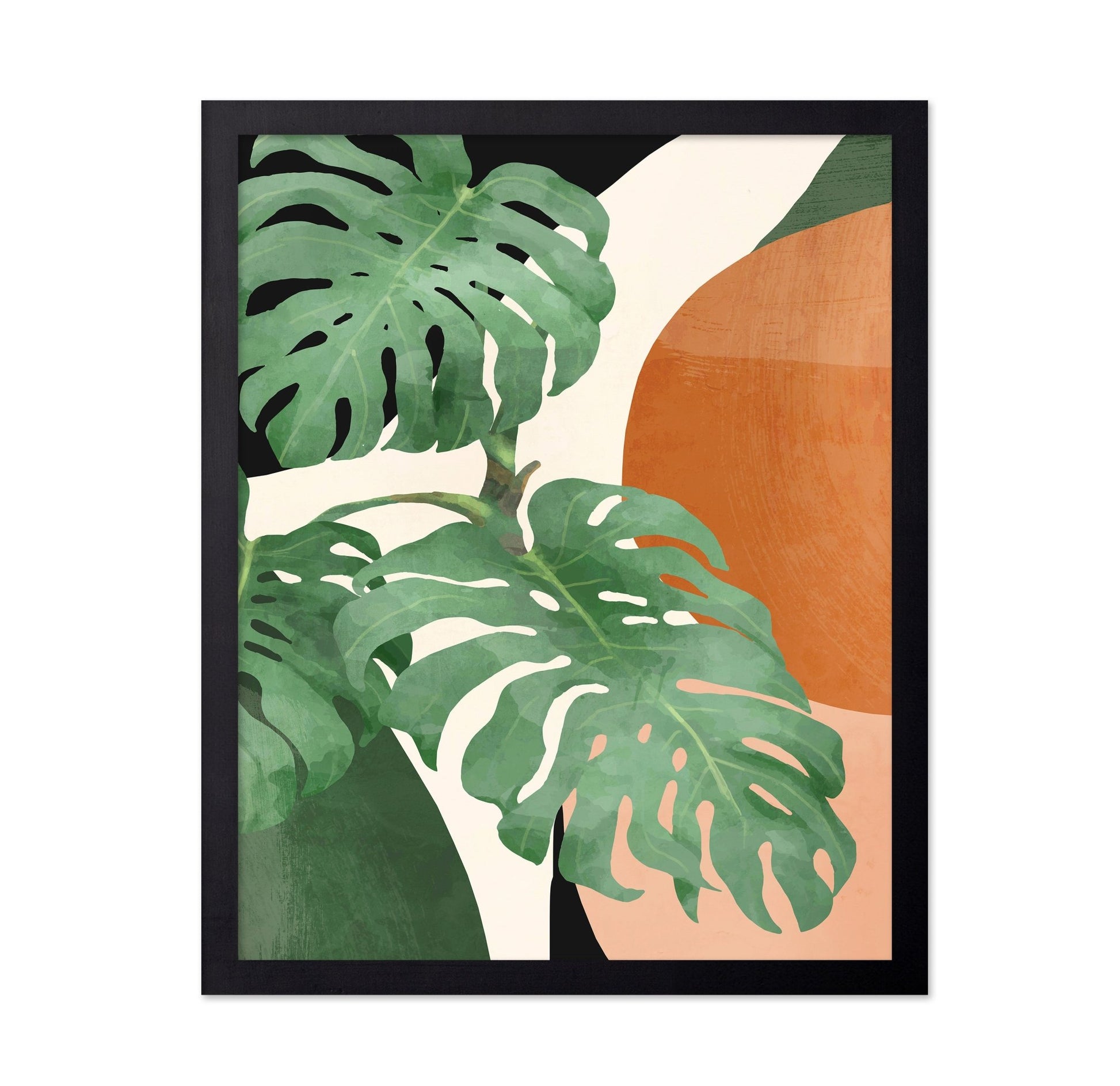 Tropical Leaf Shapes