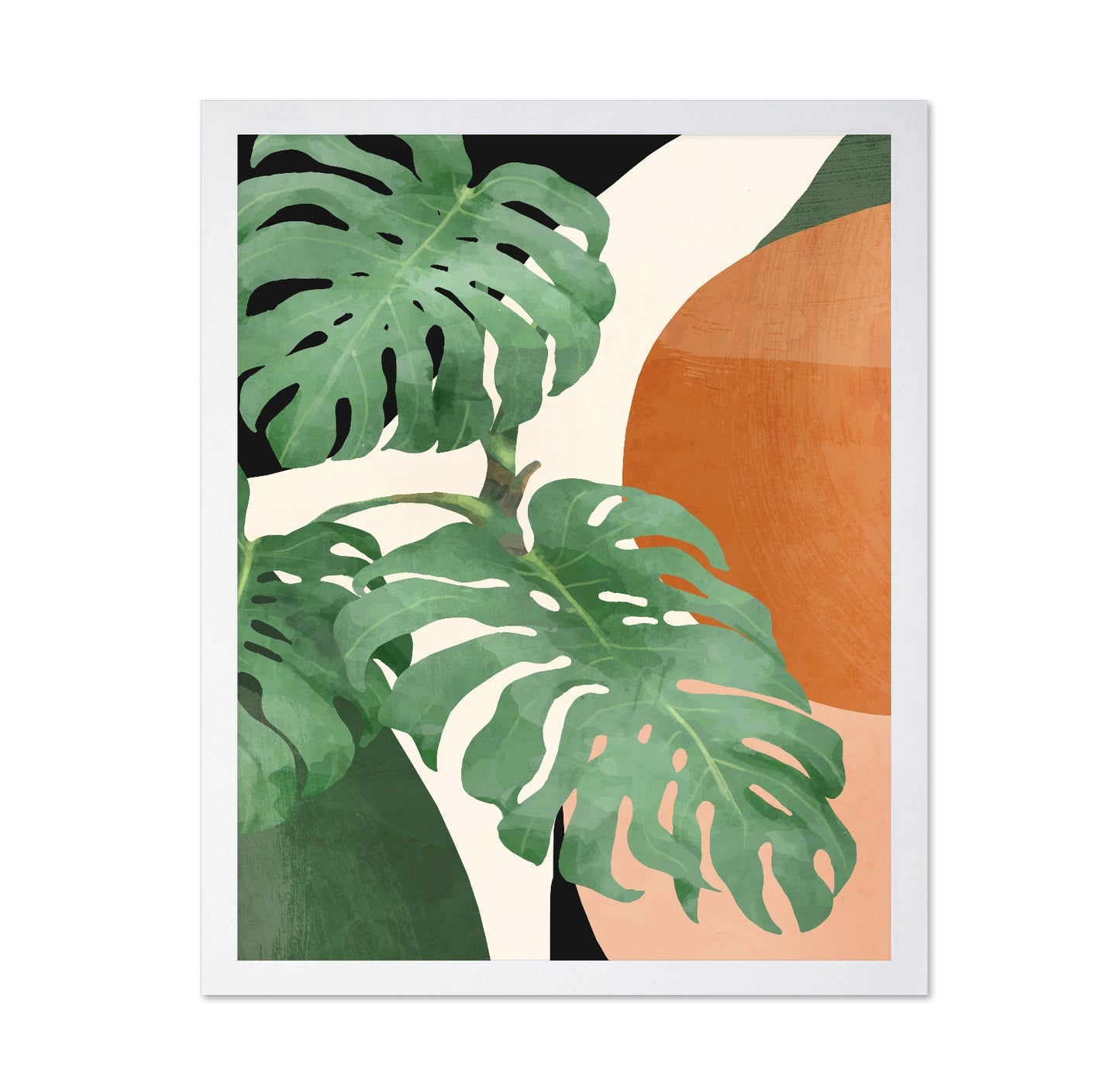 Tropical Leaf Shapes