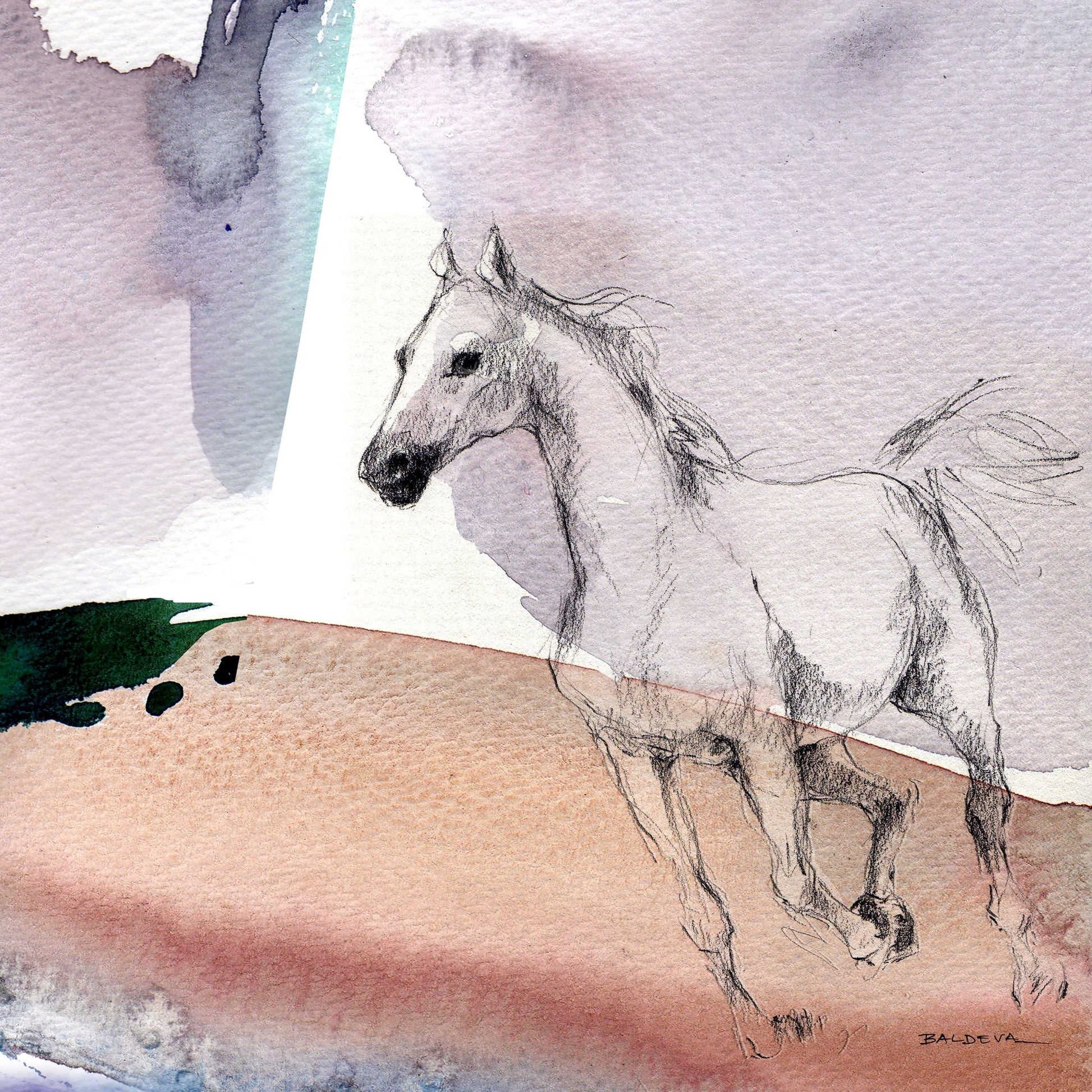 Sketch Horse Illustration
