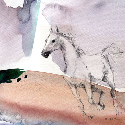 Sketch Horse Illustration