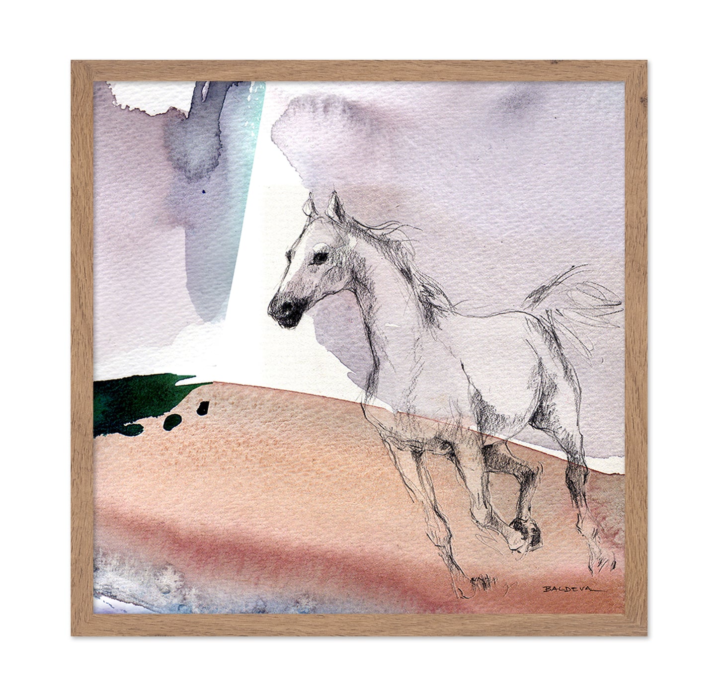 Sketch Horse Illustration