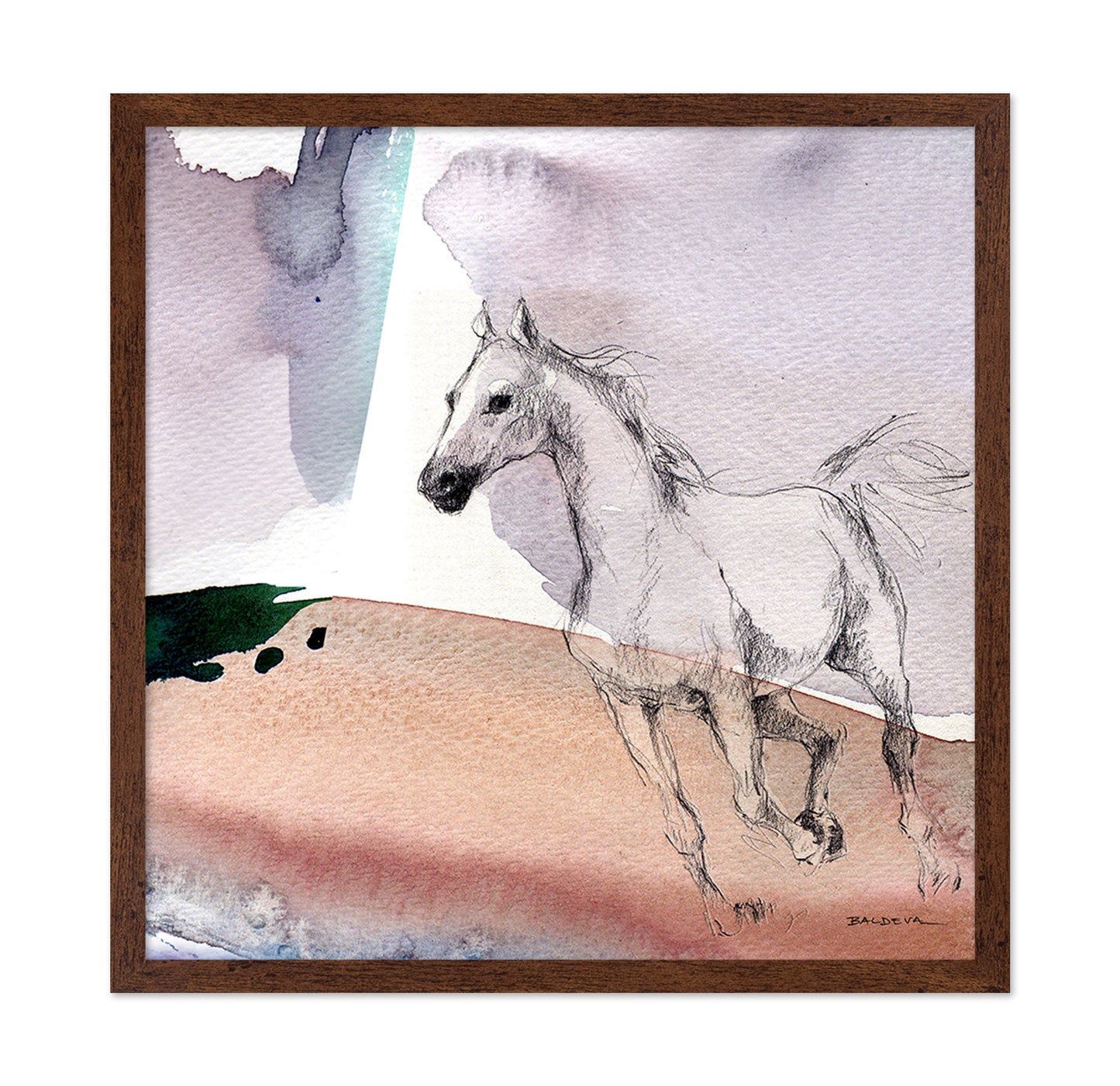 Sketch Horse Illustration