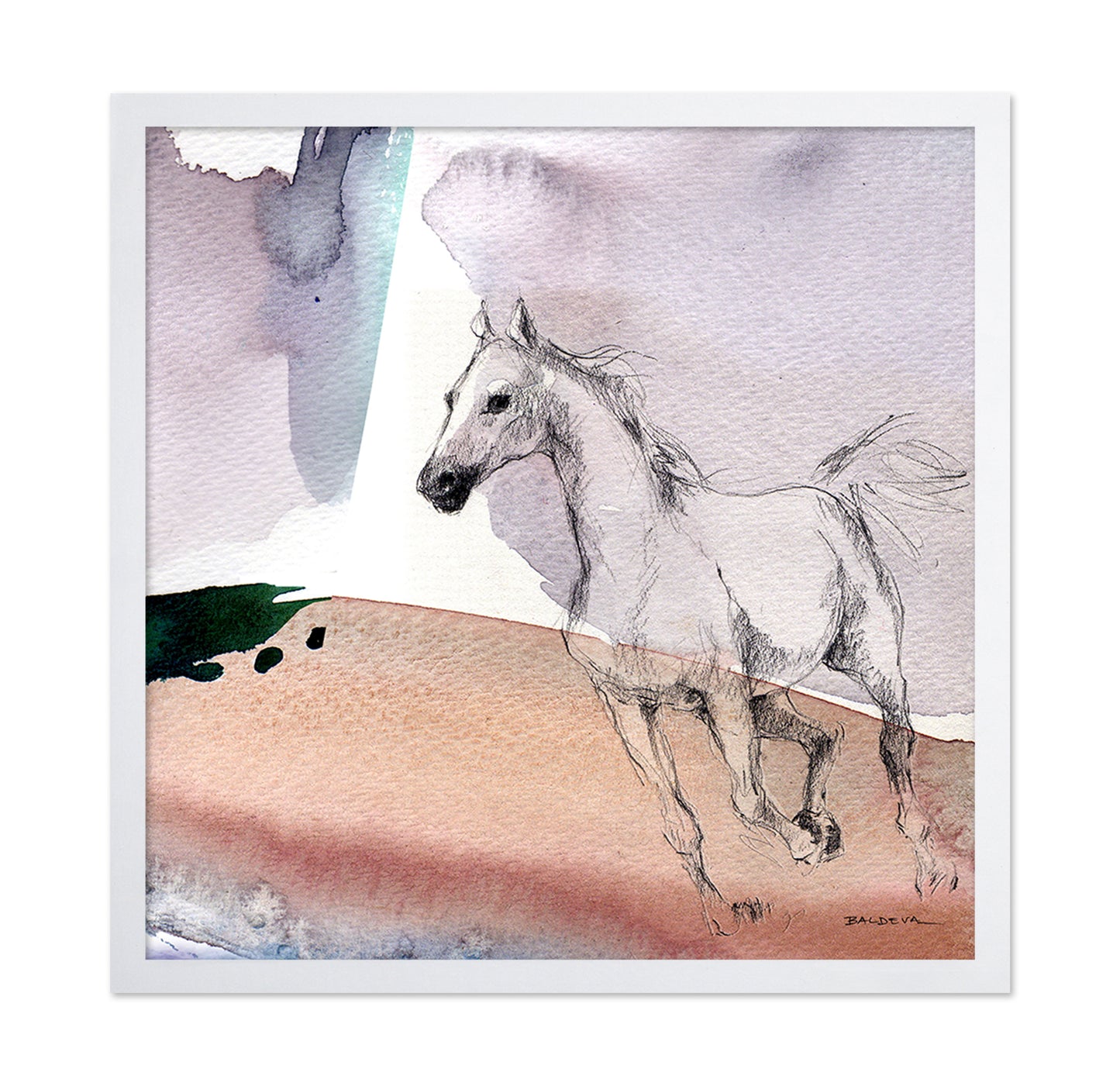 Sketch Horse Illustration