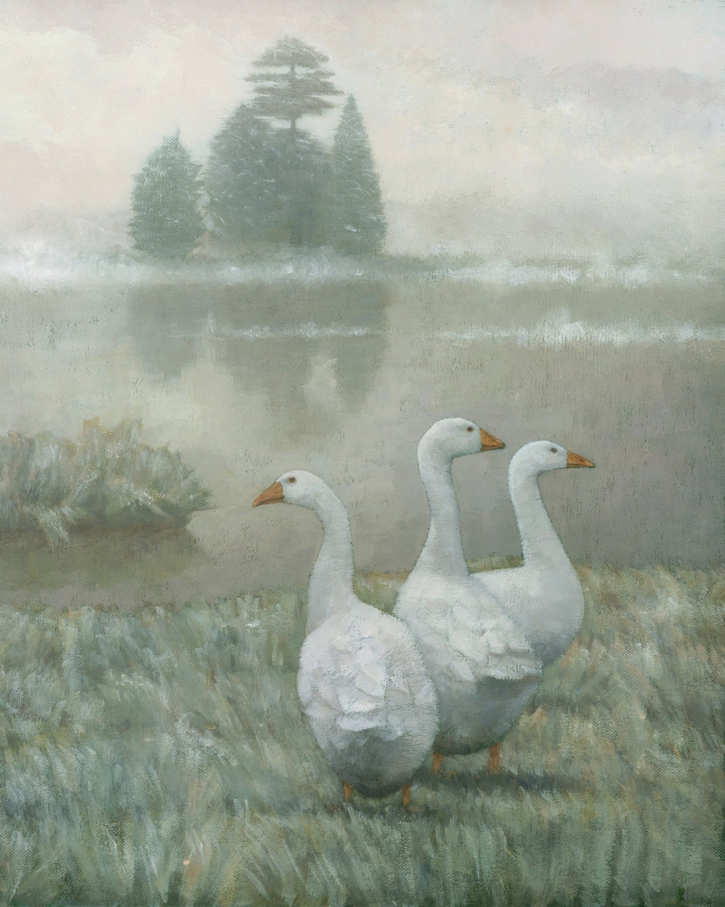 Three White Geese