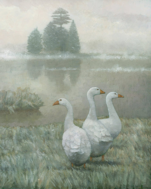 Three White Geese