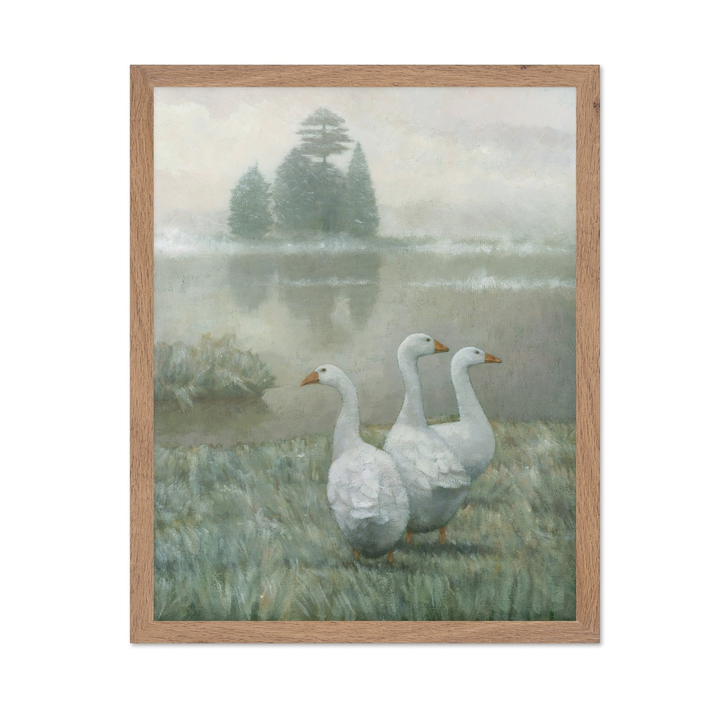 Three White Geese