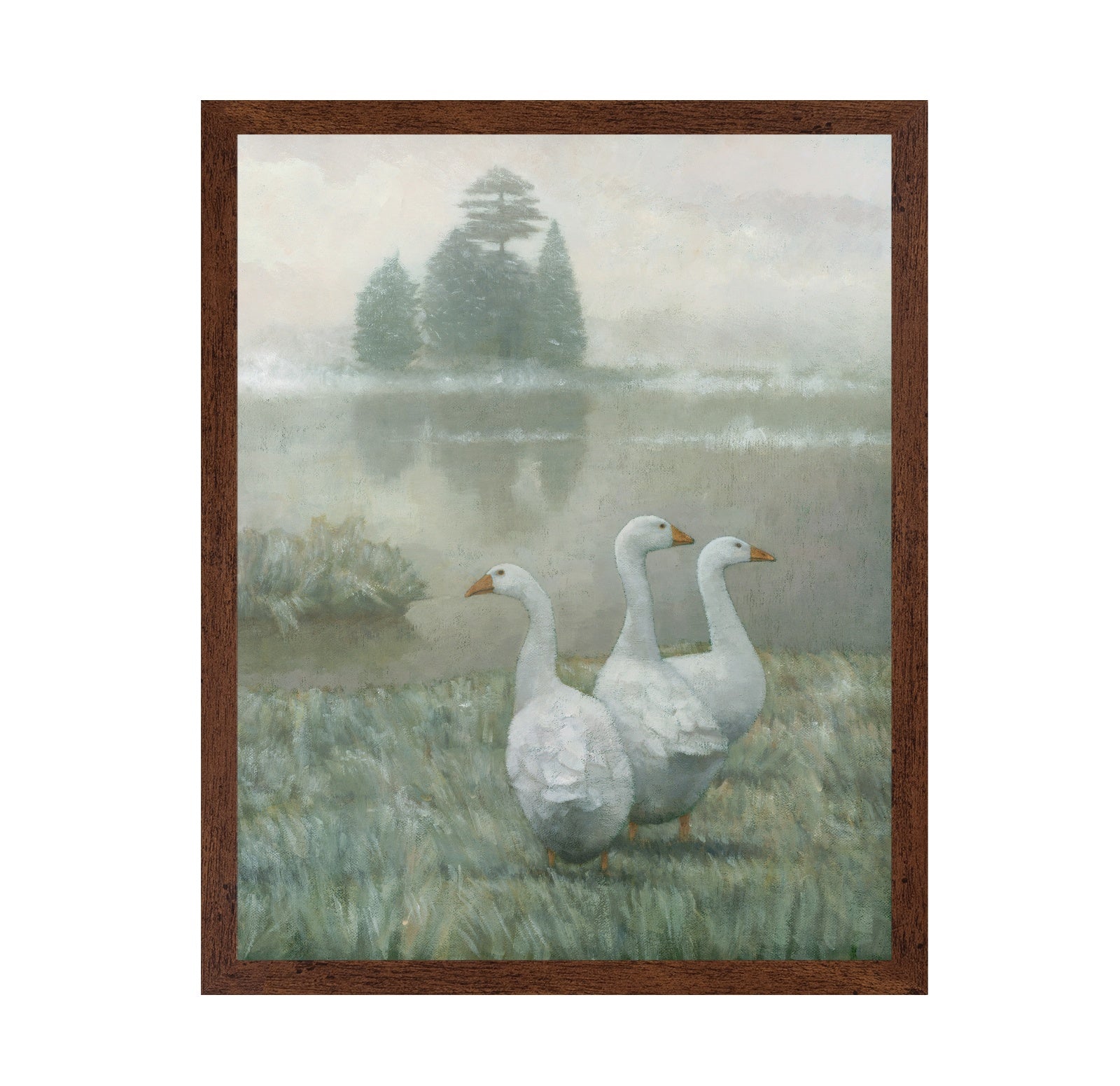 Three White Geese