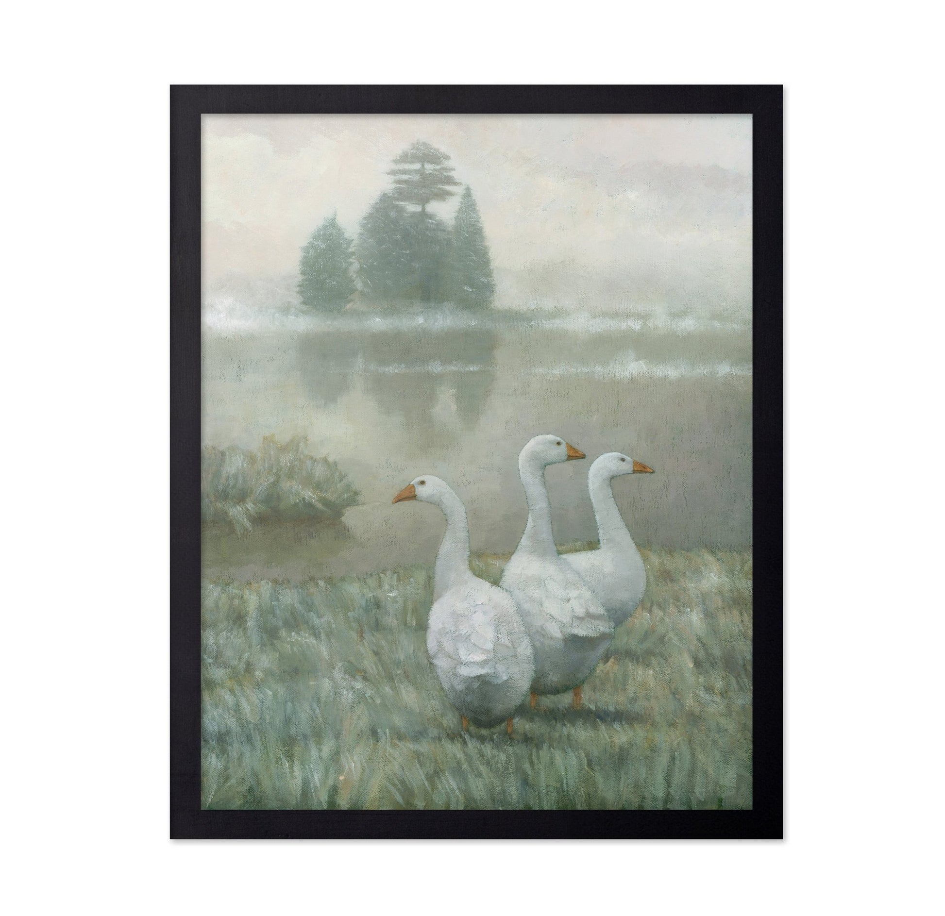 Three White Geese