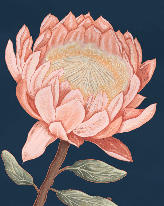 Coral Bloom Study