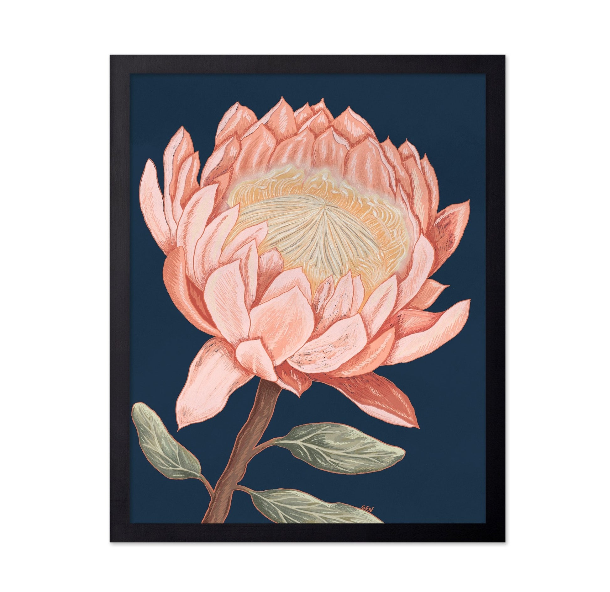 Coral Bloom Study