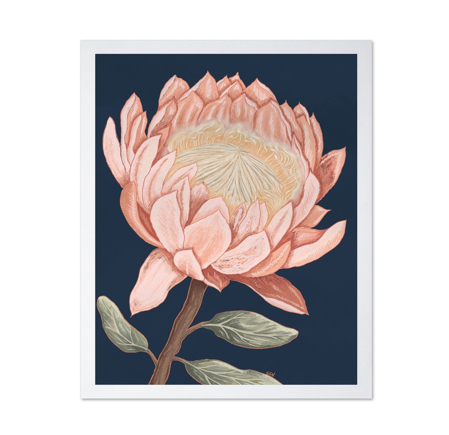 Coral Bloom Study