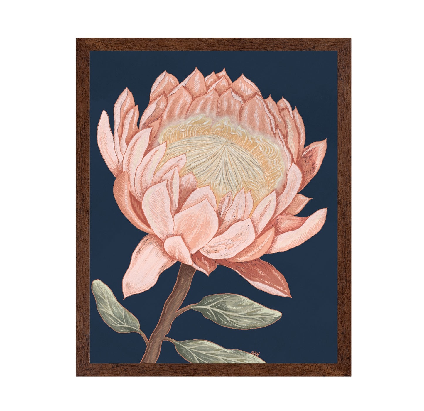 Coral Bloom Study