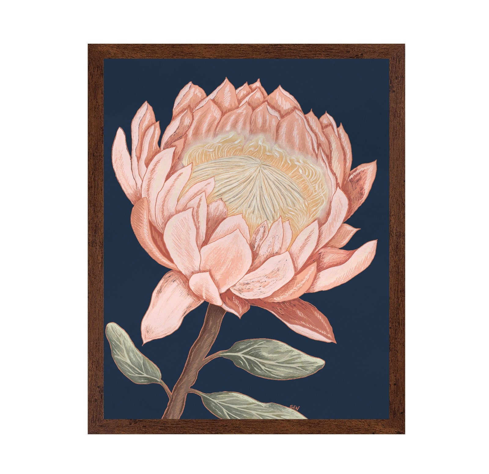 Coral Bloom Study