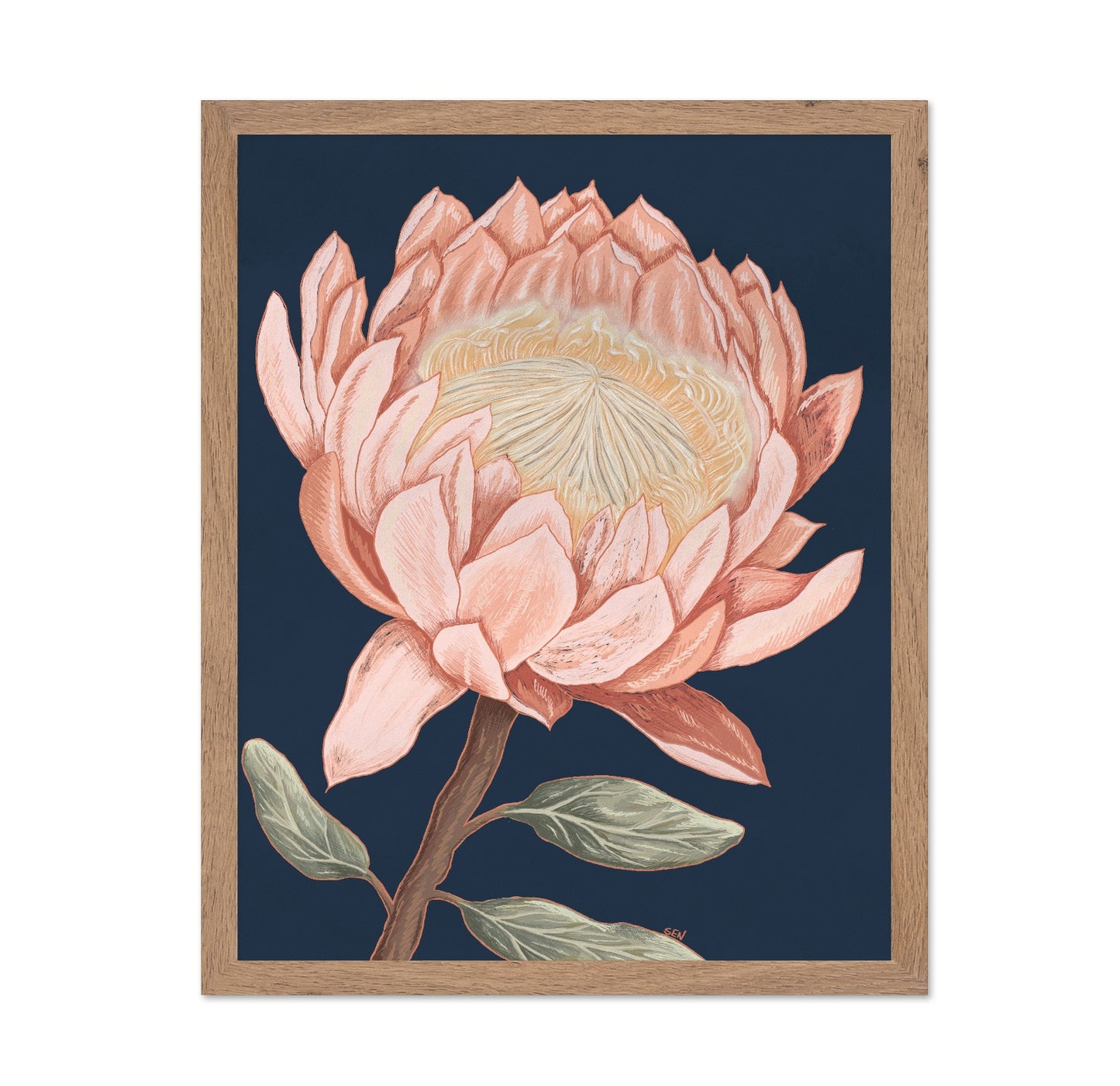Coral Bloom Study