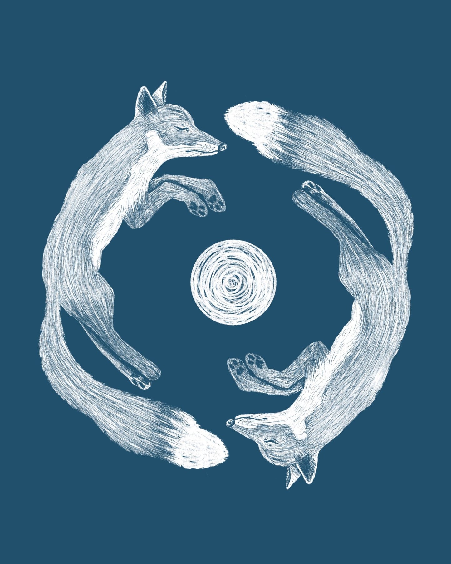 Fox Circle Harmony