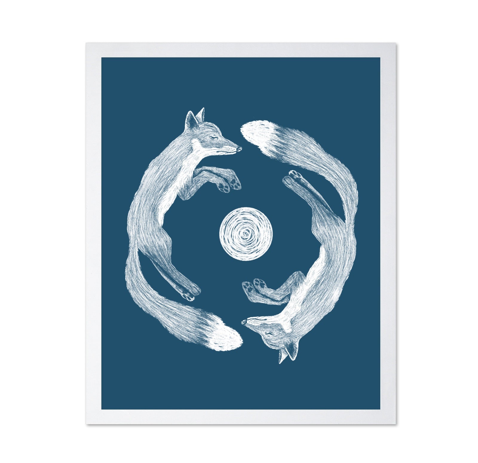 Fox Circle Harmony