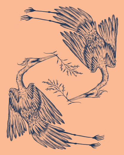 Graceful Crane Dance
