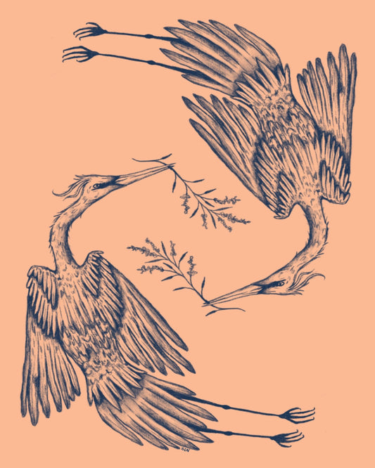 Graceful Crane Dance