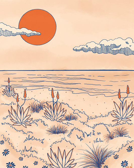 Desert Sunset Coast