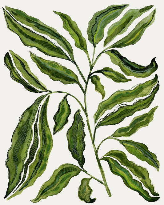 Botanical Leaf Study No2