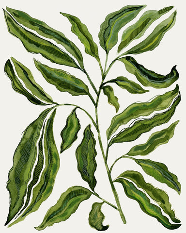 Botanical Leaf Study No2