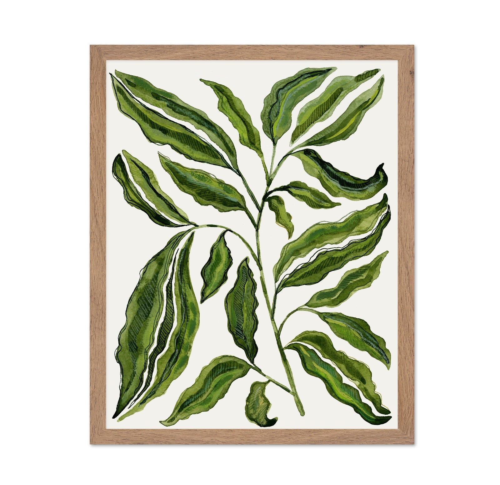 Botanical Leaf Study No2