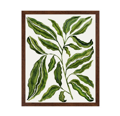 Botanical Leaf Study No2