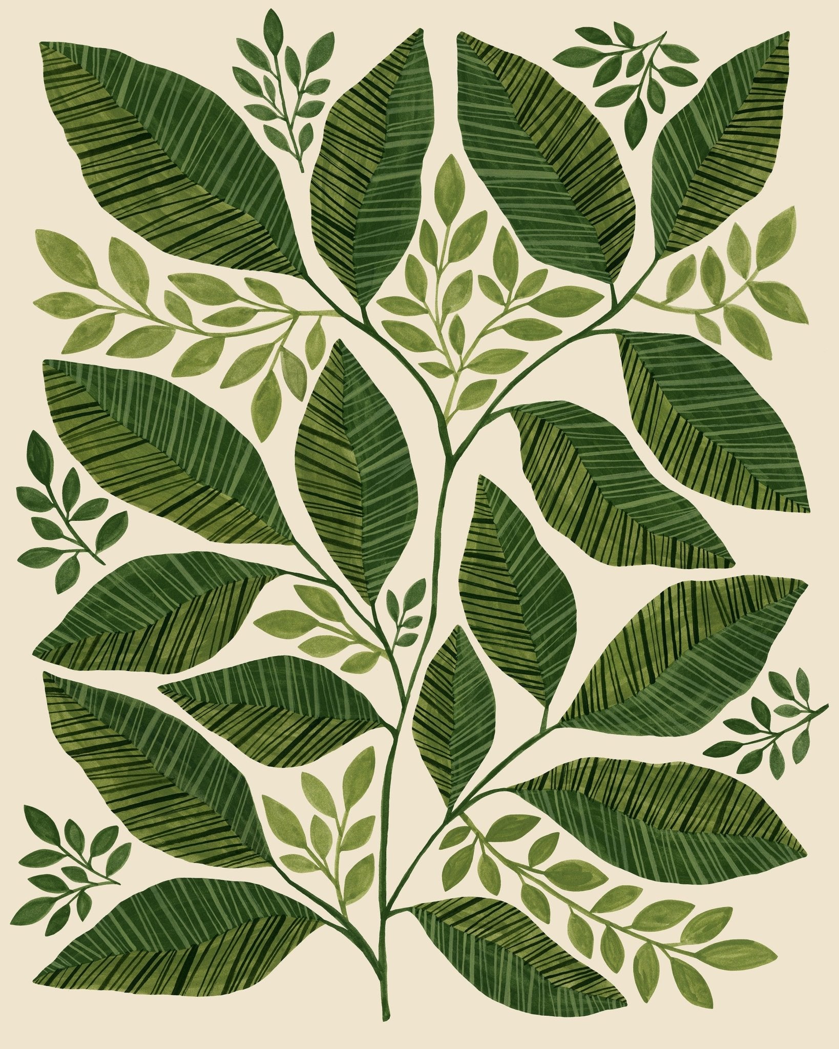 Green Botanical Leaves