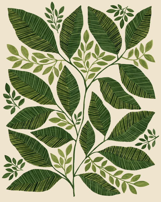 Green Botanical Leaves