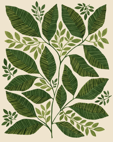 Green Botanical Leaves