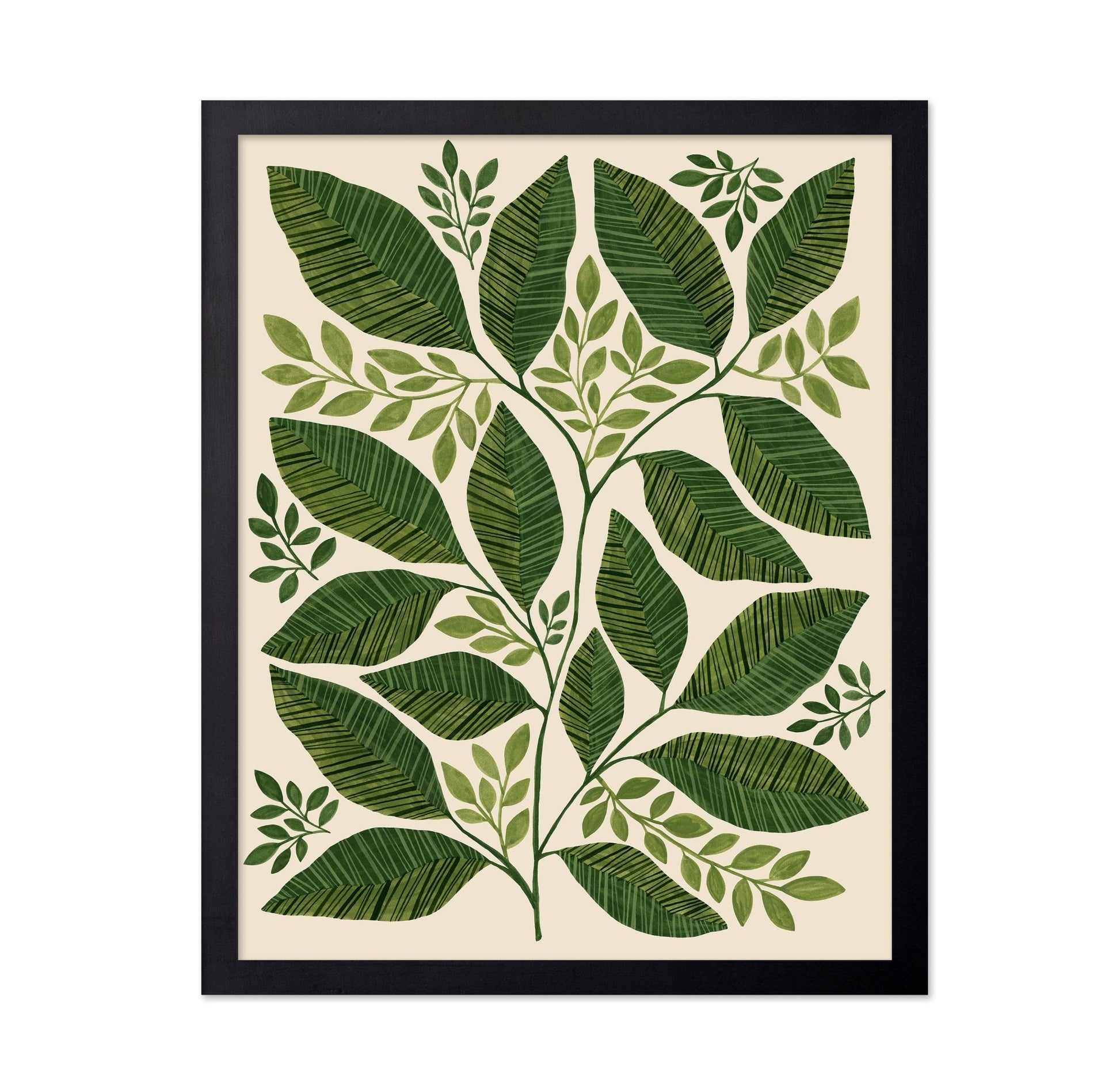 Green Botanical Leaves
