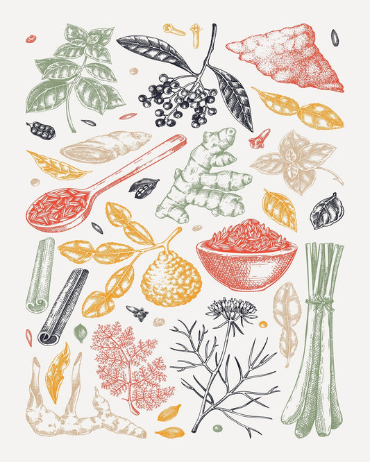 Vintage Herbal Botanical