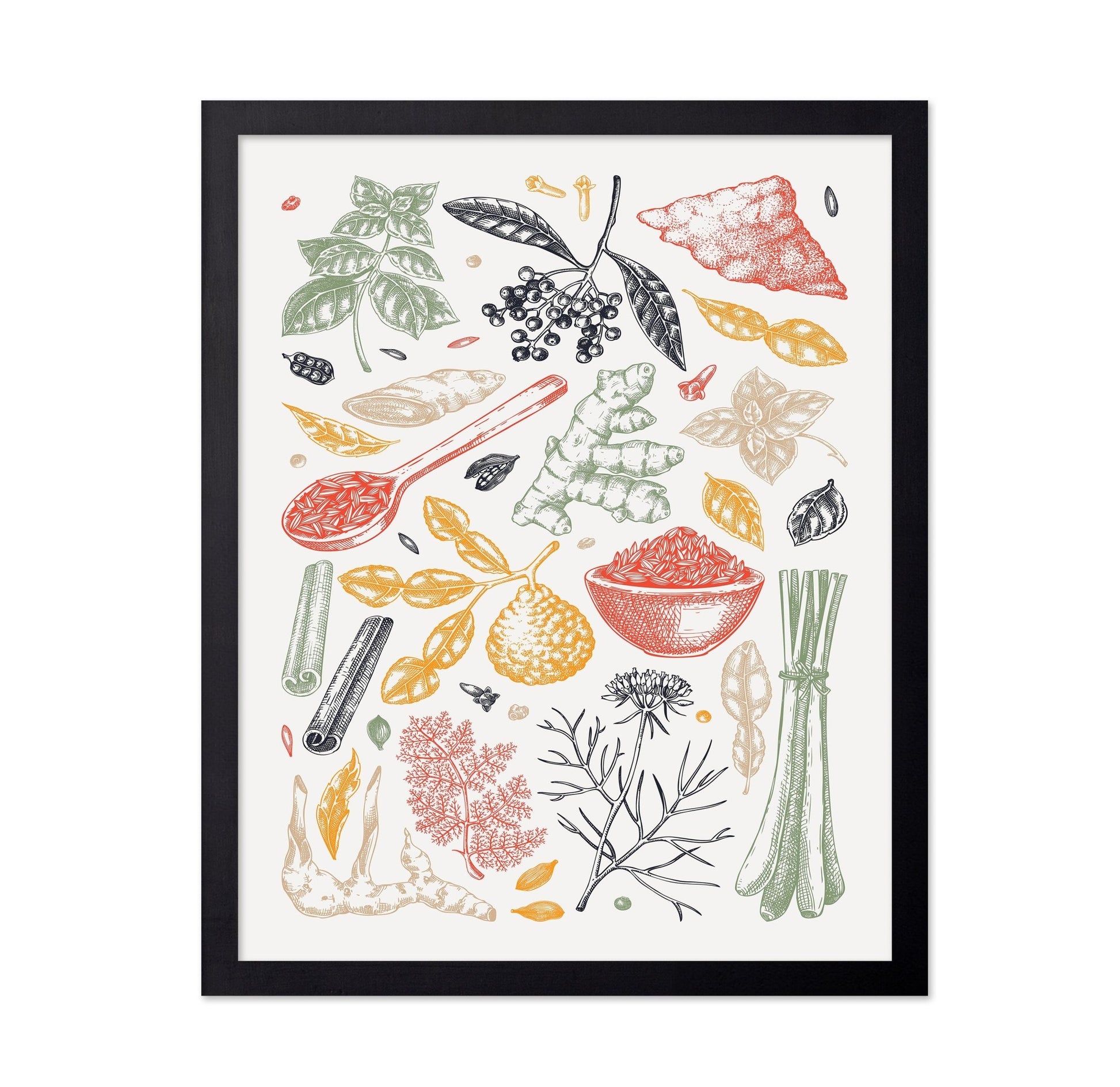 Vintage Herbal Botanical