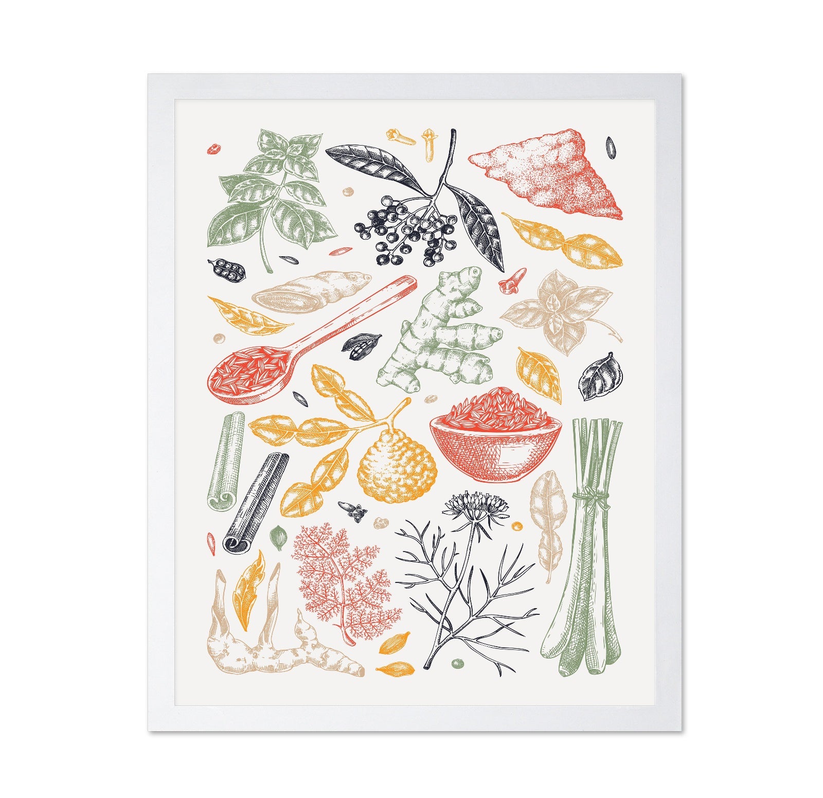 Vintage Herbal Botanical