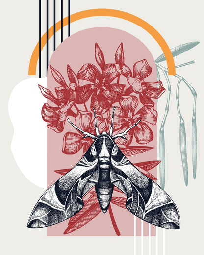 Vintage Moth Botanical