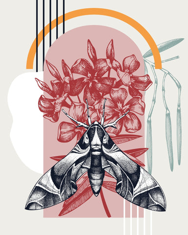 Vintage Moth Botanical