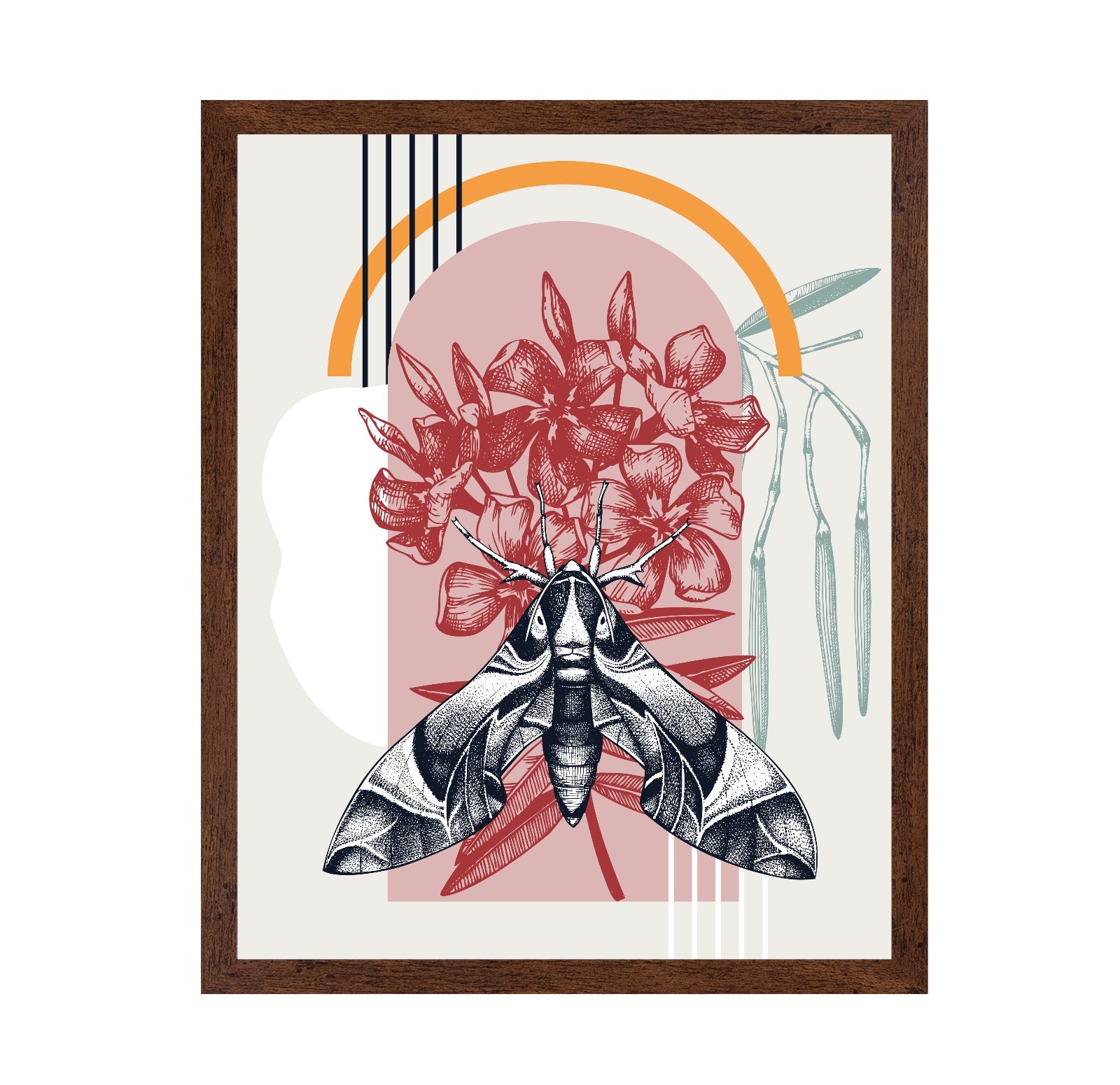 Vintage Moth Botanical