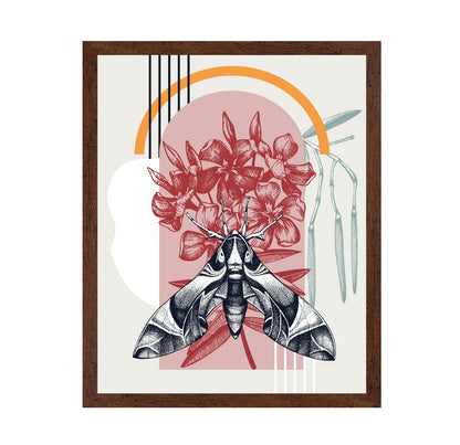 Vintage Moth Botanical