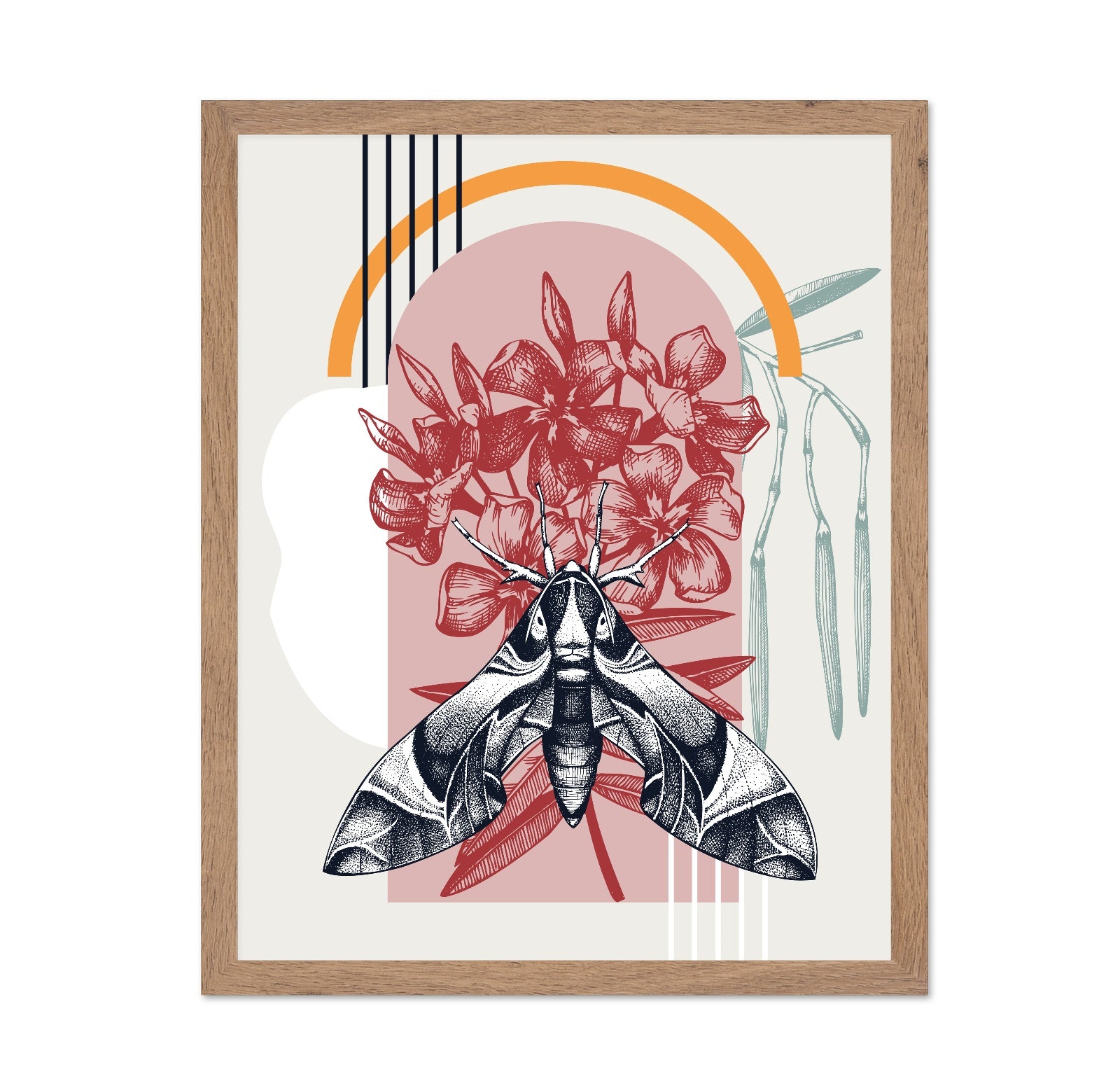 Vintage Moth Botanical