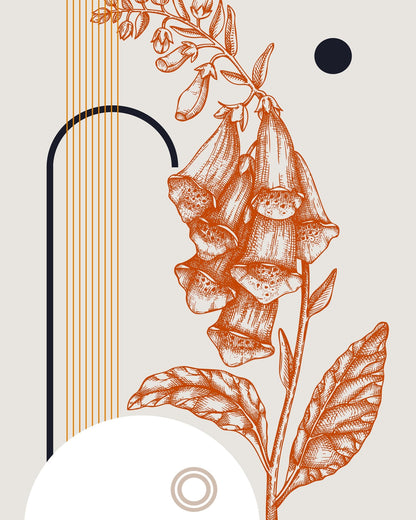 Vintage Foxglove Sketch