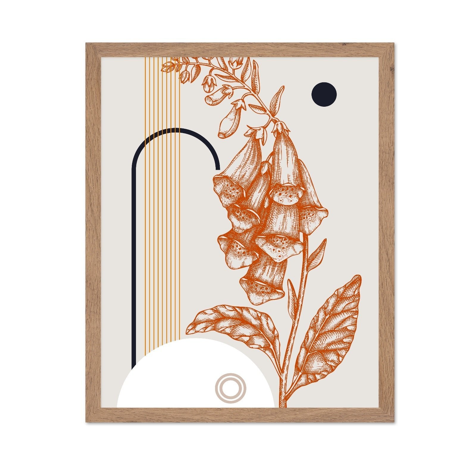 Vintage Foxglove Sketch