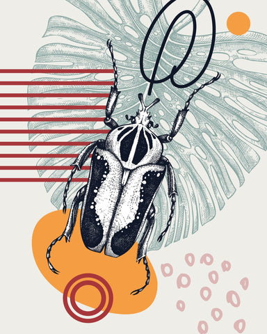 Abstract Beetle Design