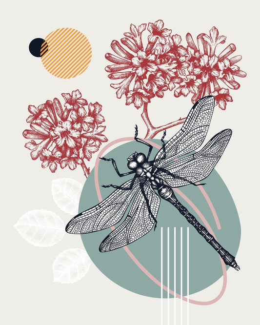 Dragonfly Botanical Design