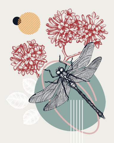 Dragonfly Botanical Design