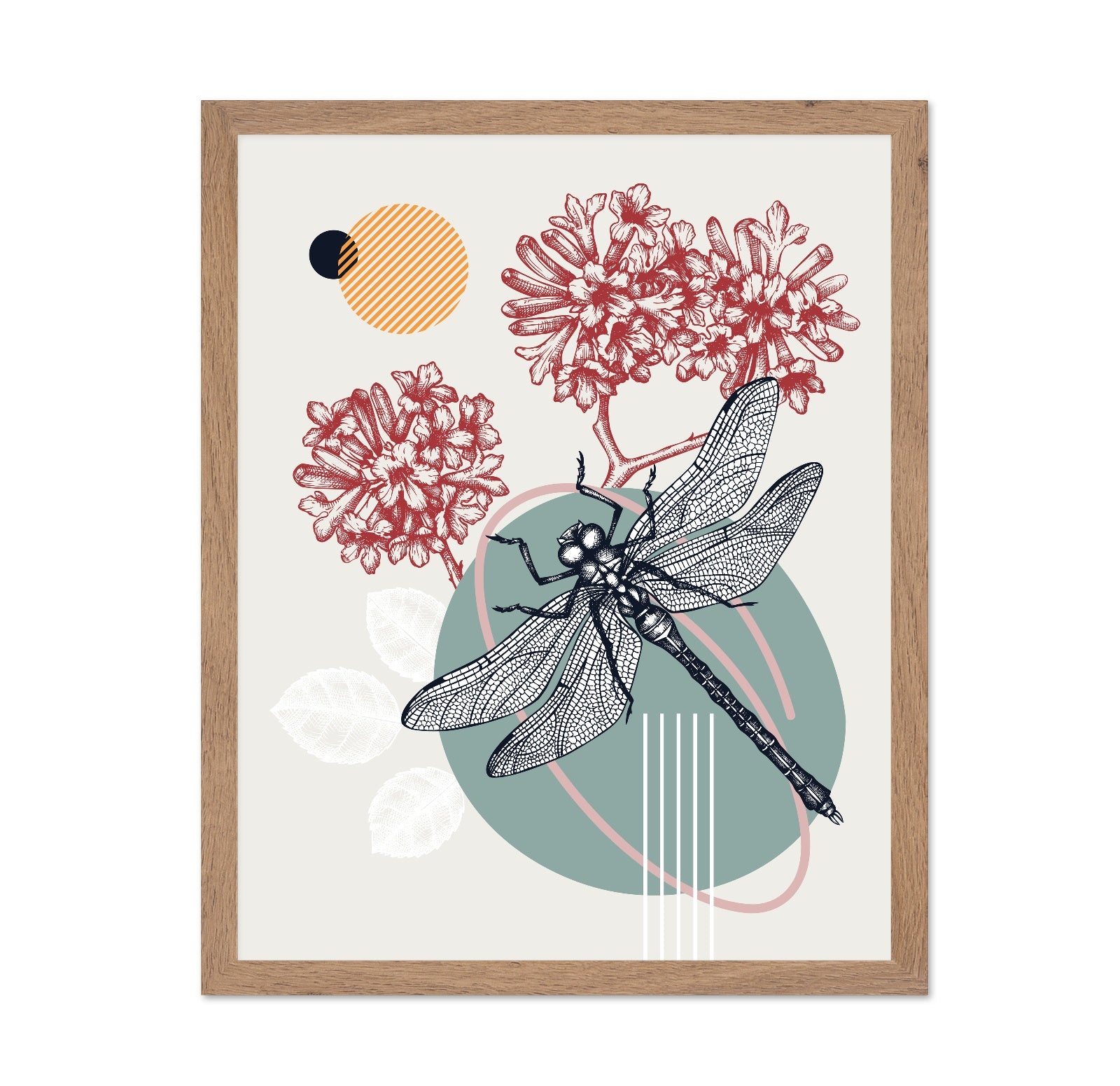 Dragonfly Botanical Design