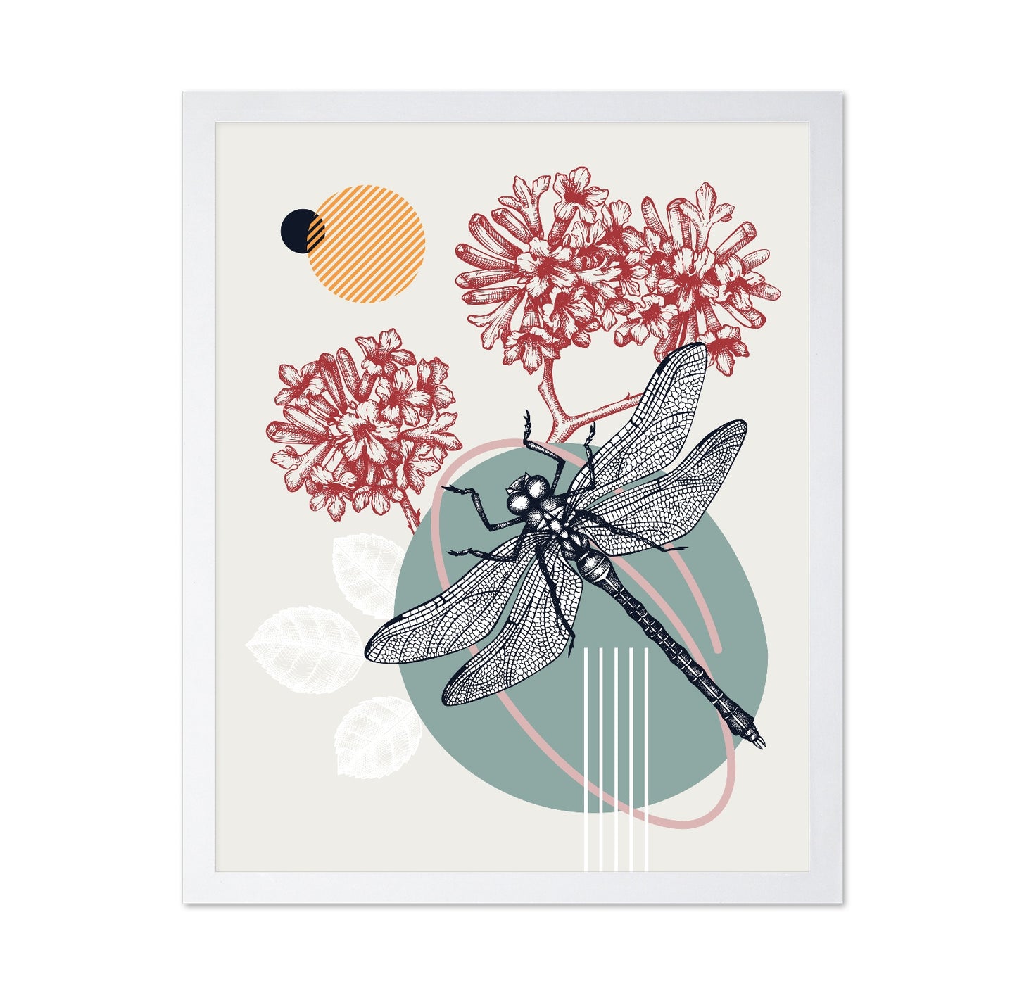 Dragonfly Botanical Design