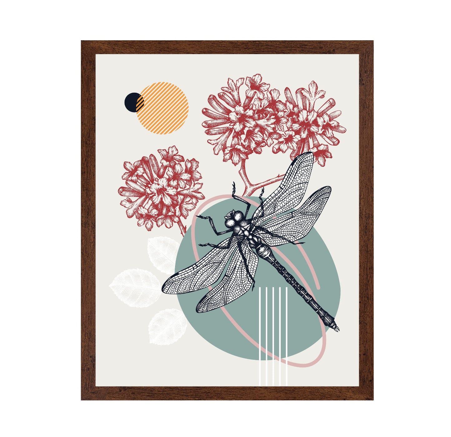 Dragonfly Botanical Design
