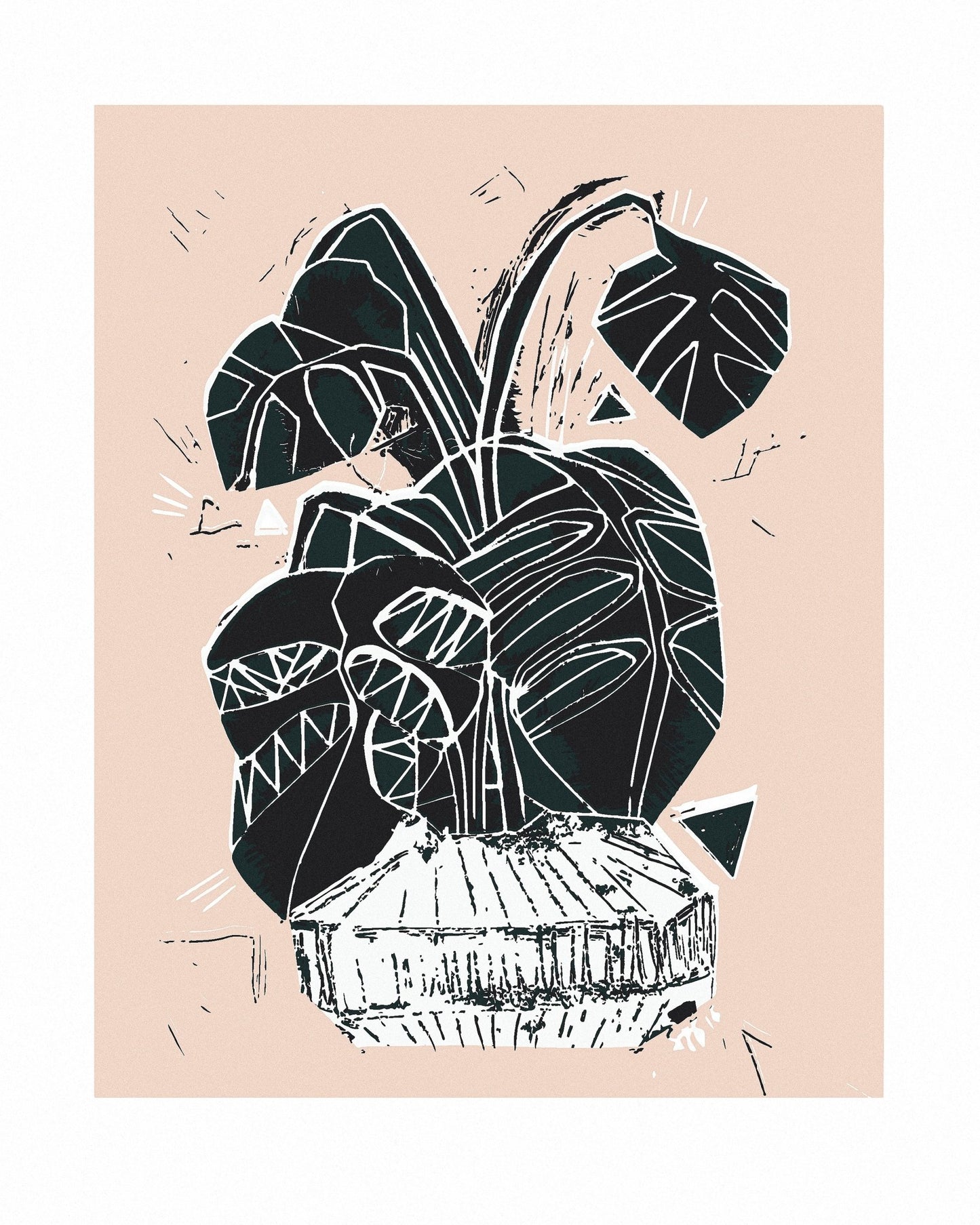 Monstera Plant Sketch